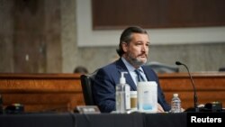 Cumhuriyetçi Senatör Ted Cruz